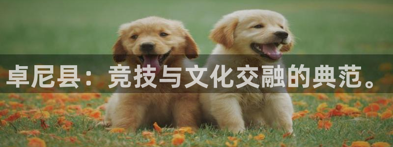 七星体育NBA：卓尼县：竞技与文化交融的典范。
