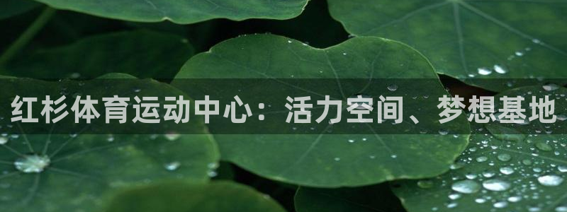 七星体育：红杉体育运动中心：活力空间、梦想基地