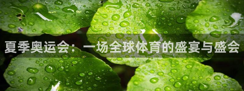 七星体育：夏季奥运会：一场全球体育的盛宴与盛会